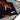 Tigers (Black) doggie bandana