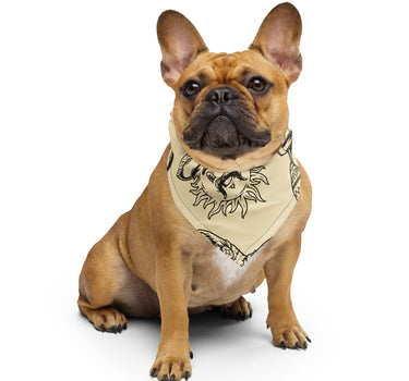 Desert Fiesta doggie bandana