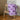 Eggplants - Signature Banana Papi Beach Towel